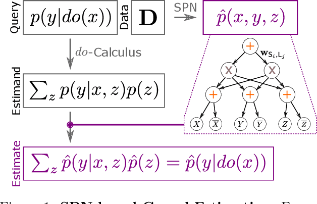 Figure 1 for On the Tractability of Neural Causal Inference