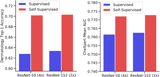 Figure 3 for Big Self-Supervised Models Advance Medical Image Classification