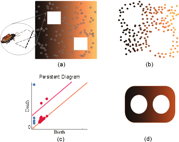 Figure 4 for Dynamic Topological Mapping with Biobotic Swarms