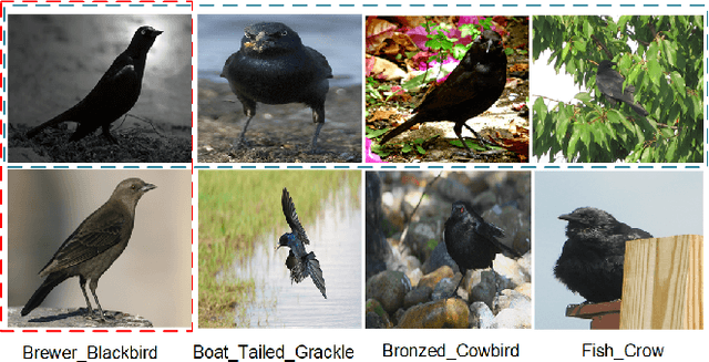 Figure 1 for Attention Convolutional Binary Neural Tree for Fine-Grained Visual Categorization
