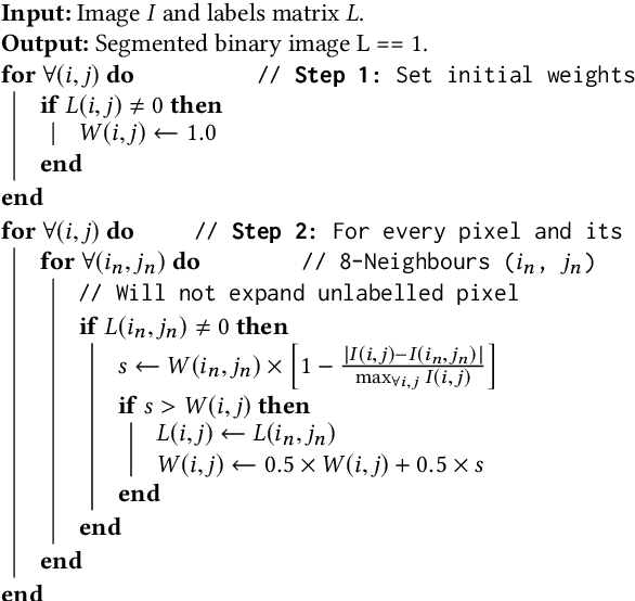Figure 3 for BGrowth: an efficient approach for the segmentation of vertebral compression fractures in magnetic resonance imaging
