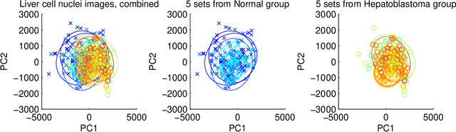 Figure 2 for A Statistical Approach to Set Classification by Feature Selection with Applications to Classification of Histopathology Images