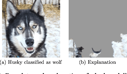 Figure 1 for Right for the Right Reason: Making Image Classification Robust