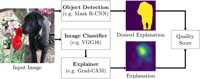 Figure 2 for Right for the Right Reason: Making Image Classification Robust