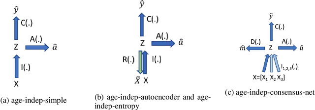 Figure 1 for Isolating effects of age with fair representation learning when assessing dementia