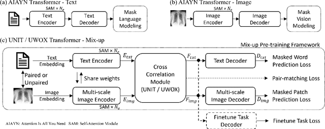 Figure 3 for Self-supervised Image-text Pre-training With Mixed Data In Chest X-rays