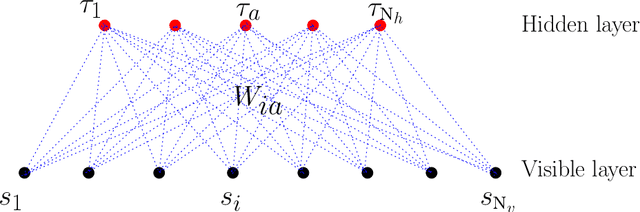 Figure 1 for Restricted Boltzmann Machine, recent advances and mean-field theory