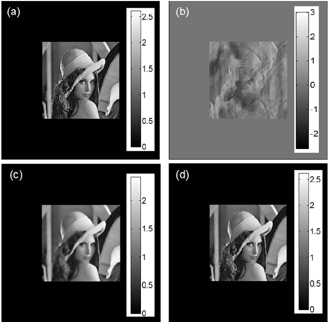 Figure 4 for Sparsity assisted solution to the twin image problem in phase retrieval