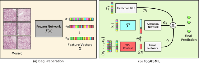Figure 3 for Pay Attention with Focus: A Novel Learning Scheme for Classification of Whole Slide Images