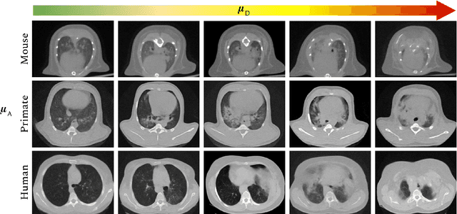 Figure 3 for Translational Lung Imaging Analysis Through Disentangled Representations