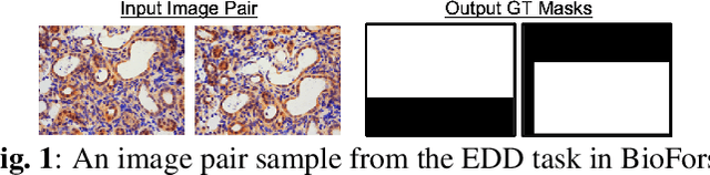 Figure 1 for MONet: Multi-scale Overlap Network for Duplication Detection in Biomedical Images