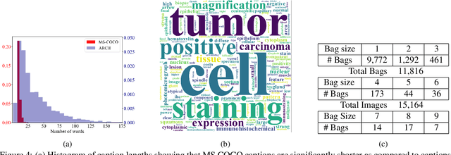 Figure 4 for Multiple Instance Captioning: Learning Representations from Histopathology Textbooks and Articles