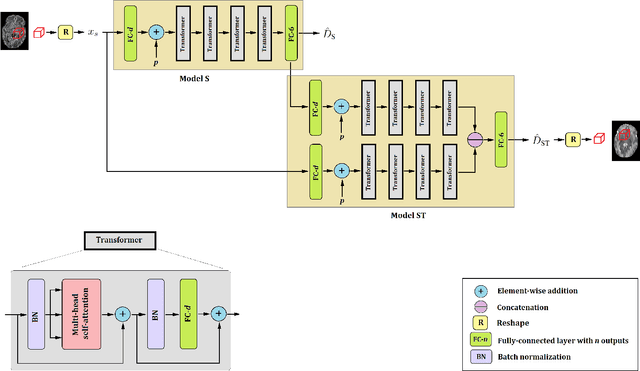 Figure 1 for Diffusion Tensor Estimation with Transformer Neural Networks