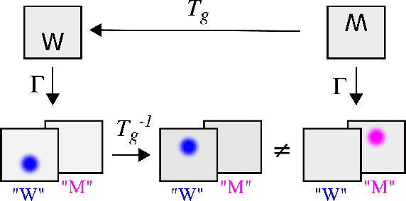 Figure 1 for Understanding when spatial transformer networks do not support invariance, and what to do about it