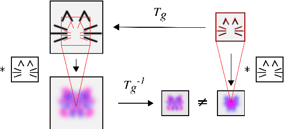 Figure 2 for Understanding when spatial transformer networks do not support invariance, and what to do about it