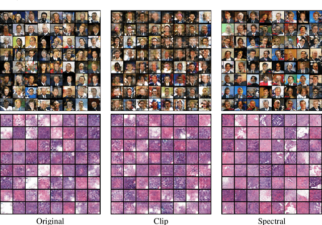 Figure 4 for Generalization in Generative Adversarial Networks: A Novel Perspective from Privacy Protection