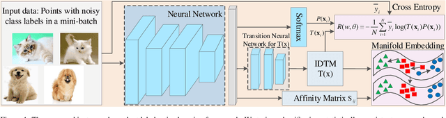 Figure 1 for Instance-Dependent Label-Noise Learning with Manifold-Regularized Transition Matrix Estimation