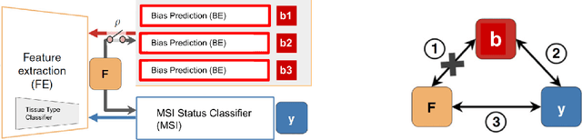 Figure 3 for XDEEP-MSI: Explainable Bias-Rejecting Microsatellite Instability Deep Learning System In Colorectal Cancer