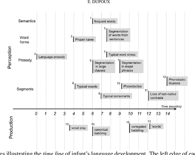 Figure 1 for Cognitive Science in the era of Artificial Intelligence: A roadmap for reverse-engineering the infant language-learner