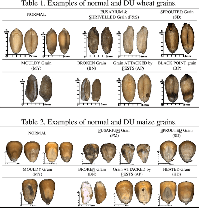 Figure 3 for GrainSpace: A Large-scale Dataset for Fine-grained and Domain-adaptive Recognition of Cereal Grains