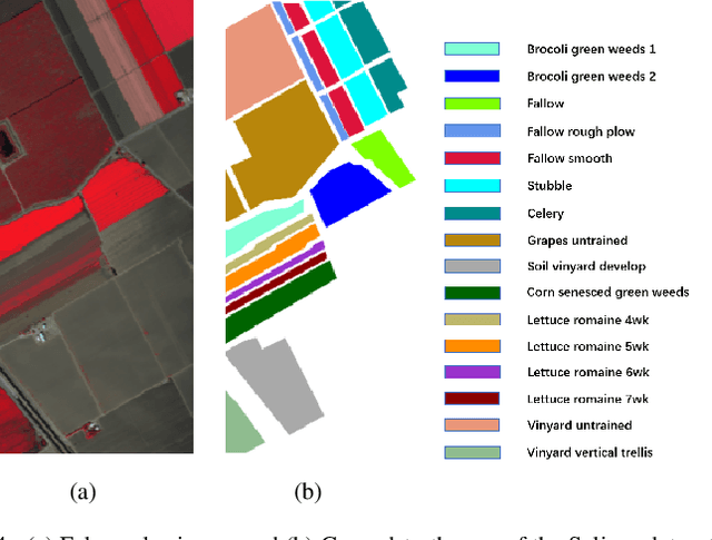 Figure 4 for Multiscale Convolutional Transformer with Center Mask Pretraining for Hyperspectral Image Classification
