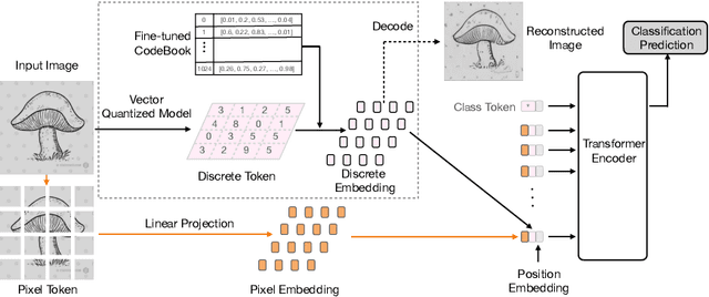 Figure 1 for Discrete Representations Strengthen Vision Transformer Robustness