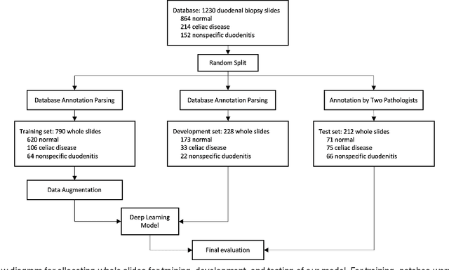 Figure 1 for Automated detection of celiac disease on duodenal biopsy slides: a deep learning approach