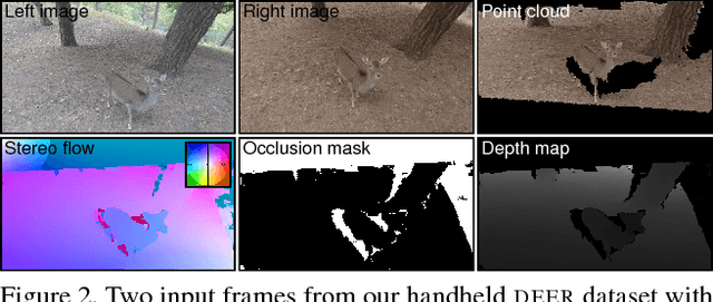 Figure 2 for Dense Wide-Baseline Scene Flow From Two Handheld Video Cameras