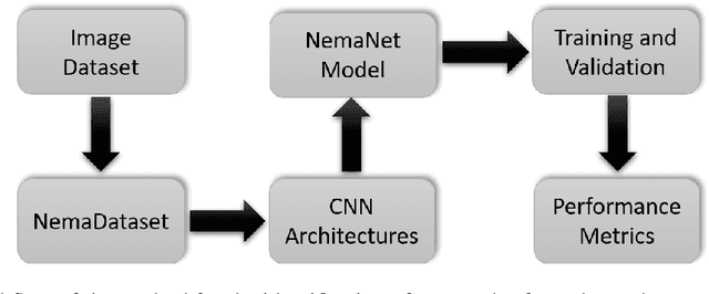 Figure 3 for NemaNet: A convolutional neural network model for identification of nematodes soybean crop in brazil