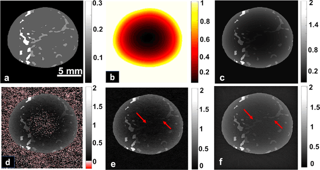 Figure 1 for Maximum entropy based non-negative optoacoustic tomographic image reconstruction