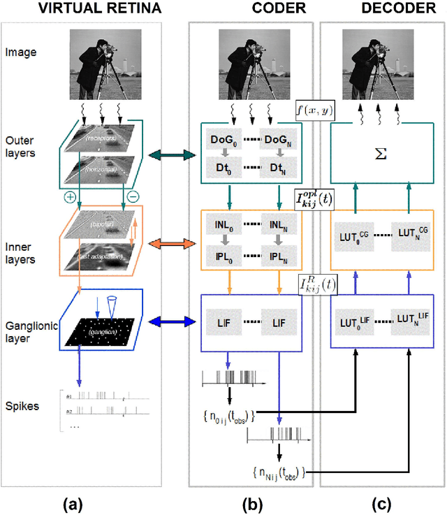 Figure 1 for Streaming an image through the eye: The retina seen as a dithered scalable image coder