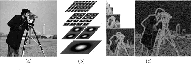 Figure 2 for Streaming an image through the eye: The retina seen as a dithered scalable image coder