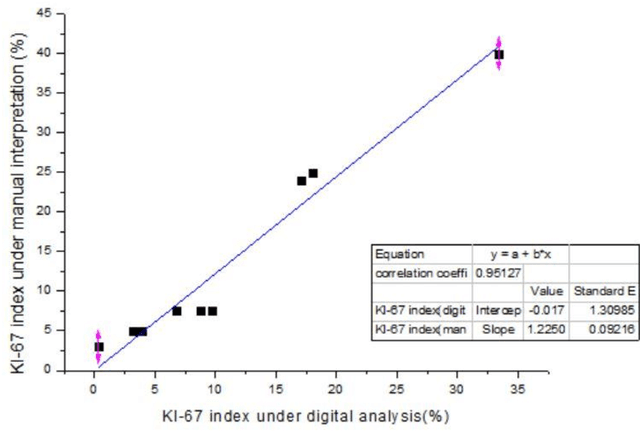 Figure 1 for Ki-67 Index Measurement in Breast Cancer Using Digital Image Analysis