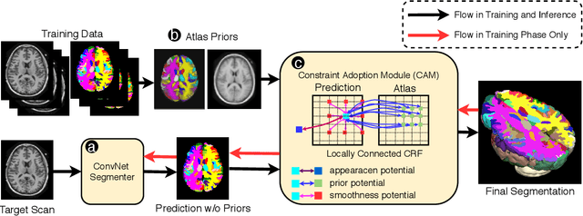 Figure 1 for Atlas-aware ConvNetfor Accurate yet Robust Anatomical Segmentation