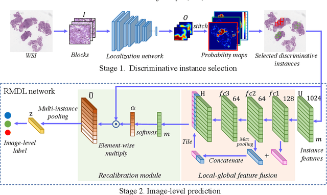 Figure 3 for RMDL: Recalibrated multi-instance deep learning for whole slide gastric image classification