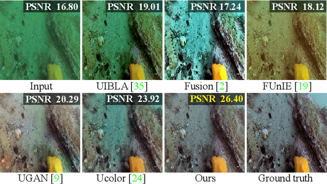 Figure 1 for U-shape Transformer for Underwater Image Enhancement