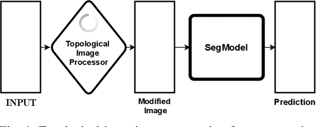 Figure 1 for Image Segmentation with Topological Priors