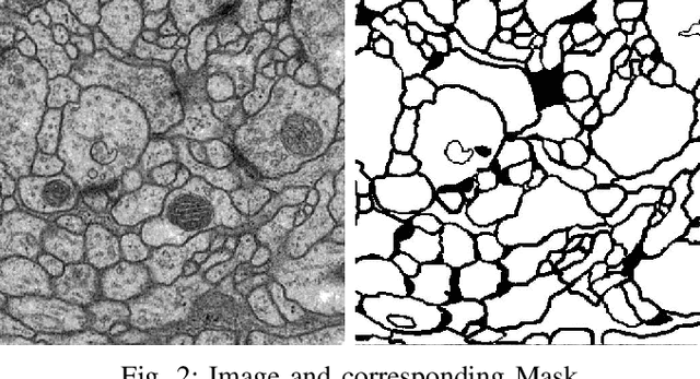 Figure 2 for Image Segmentation with Topological Priors