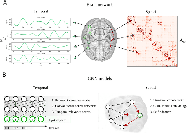 Figure 1 for Modeling Spatio-Temporal Dynamics in Brain Networks: A Comparison of Graph Neural Network Architectures