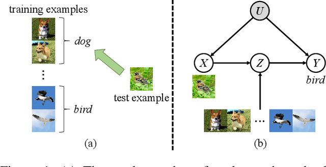 Figure 1 for Revisiting Few-Shot Learning from a Causal Perspective