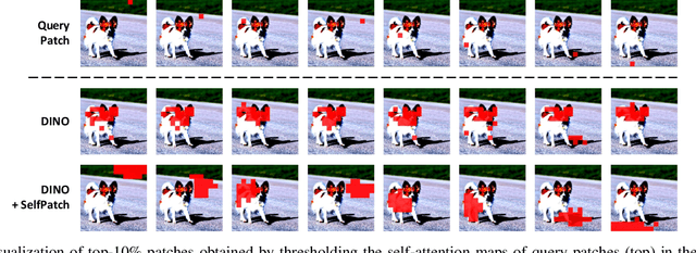 Figure 1 for Patch-level Representation Learning for Self-supervised Vision Transformers
