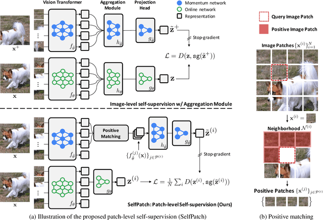 Figure 3 for Patch-level Representation Learning for Self-supervised Vision Transformers