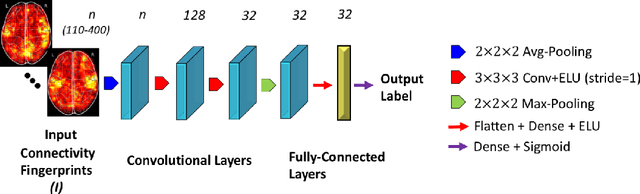 Figure 1 for 3D Convolutional Neural Networks for Classification of Functional Connectomes