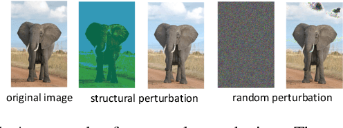 Figure 1 for Structure Matters: Towards Generating Transferable Adversarial Images