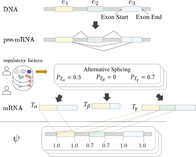 Figure 1 for RNA Alternative Splicing Prediction with Discrete Compositional Energy Network