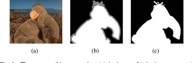 Figure 1 for A Hierarchical Image Matting Model for Blood Vessel Segmentation in Fundus images