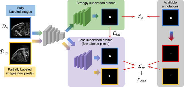 Figure 1 for Teach me to segment with mixed supervision: Confident students become masters