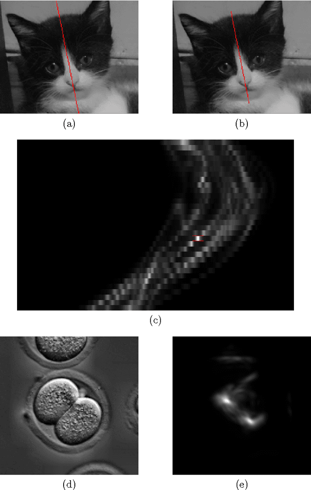 Figure 1 for A convolutional approach to reflection symmetry