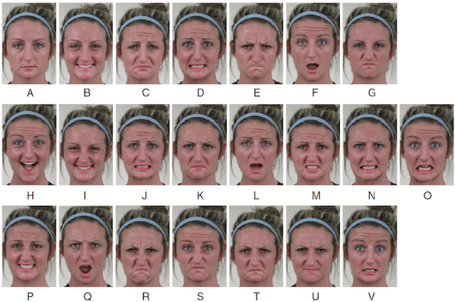 Figure 1 for Interpretable Deep Neural Networks for Dimensional and Categorical Emotion Recognition in-the-wild