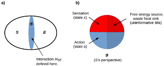 Figure 1 for The Free Energy Principle drives neuromorphic development